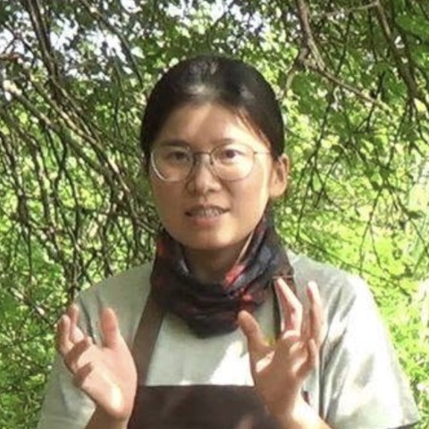 李依輯
