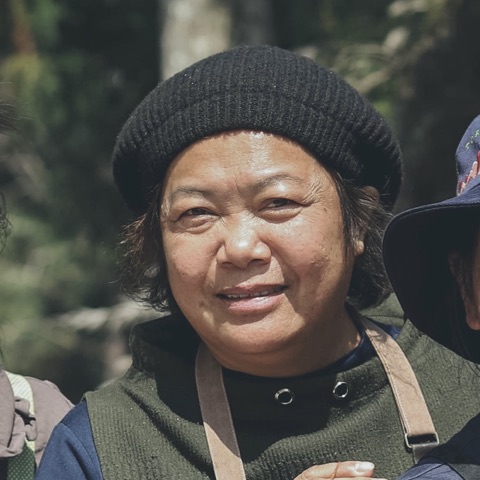 王美娟