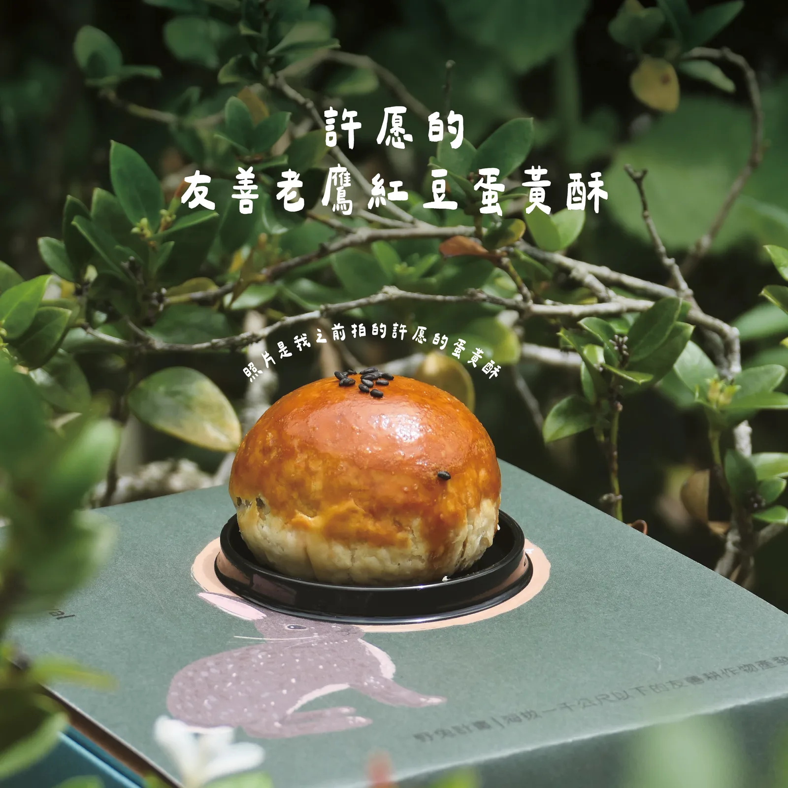 【完售】許愿的友善老鷹紅豆蛋黃酥｜兒童永續教育提撥